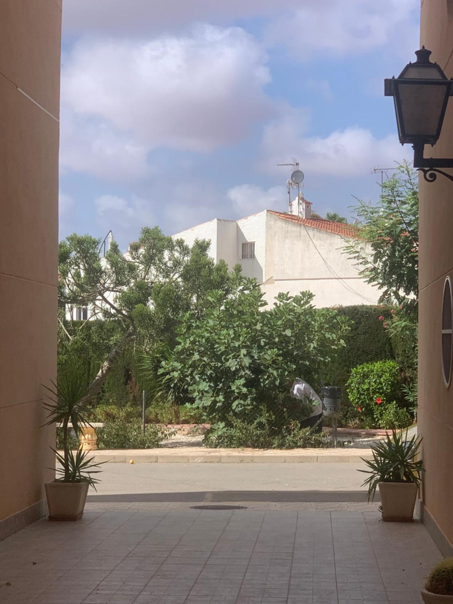 Appartamento Tres Beau T4 Torrevieja Renove Et Moderne Esterno foto