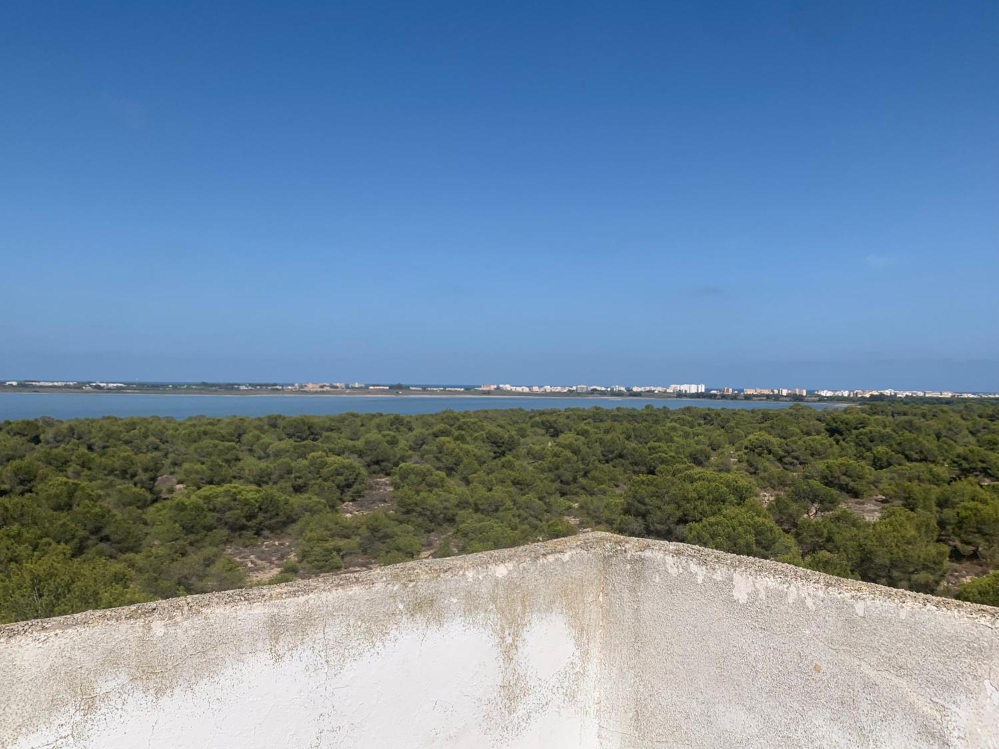 Appartamento Tres Beau T4 Torrevieja Renove Et Moderne Esterno foto